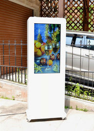 Maxbright 43" Outdoor Dual Face High Bright IP65 Advertising Kiosk